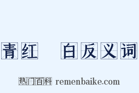 青红皁白反义词是什么意思的图片